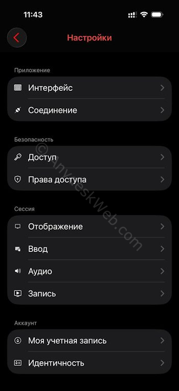 Настройки Anydesk на iOS